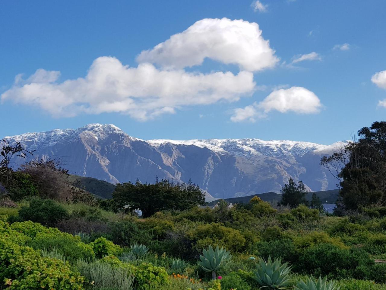 وورستر De Bergen B&B المظهر الخارجي الصورة